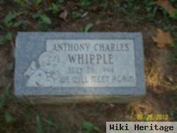 Anthony Charles Whipple
