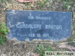 Guadalupe Barton