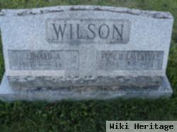 Rose M Wilson