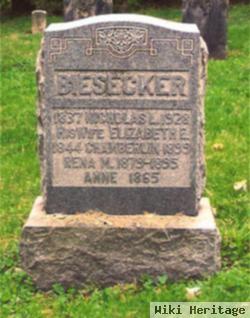 Anne Biesecker