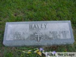 Marie Farmer Havey