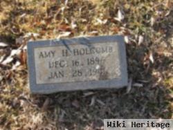 Amy H. Holcomb