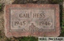 Gail Arlene Hess