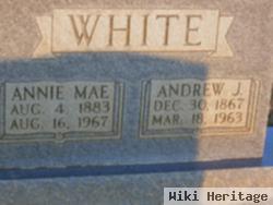 Andrew Jackson White
