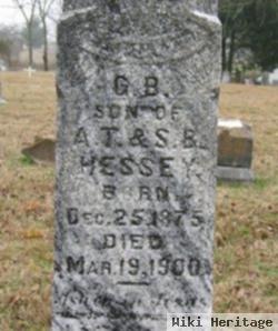 D. B. Hessey