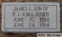 James L Dowd