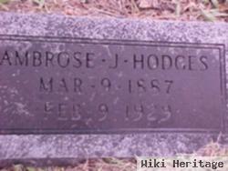 Ambrose J. Hodge