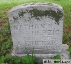 Nathan R Herzig