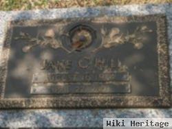 Jane C. Hill