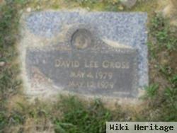 David Lee Gross