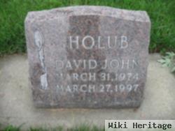 David John Holub