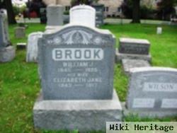 William J Brook