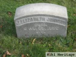 Elizabeth Briggs Johnson