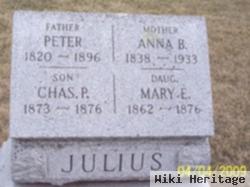 Peter Julius