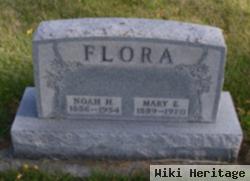 Noah H Flora