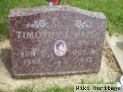 Timothy E Prisk