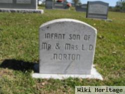 Infant Norton