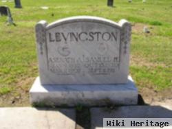 Samuel H Levingston