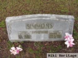 Steve S Simmons