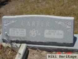 Edna Ann Fulfer Carter