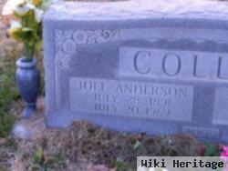 Joel Anderson Colley