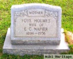 Foye Holmes Napier