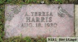 A. Teresa "teddy" Christensen Harris