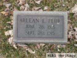 Arlean E. Fehr