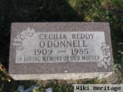 Cecilia Reddy O'donnell