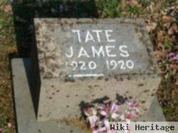 James Wilford Tate