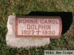 Bonnie Carrol Dolphin