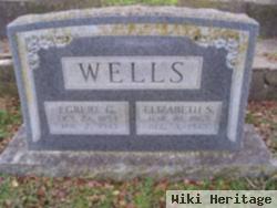 Elizabeth S Wells