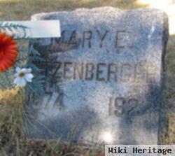 Mary N Litzenberger