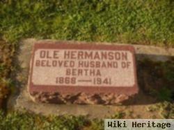 Ole Hermanson