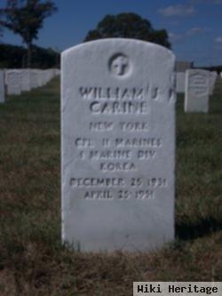 William J Carine