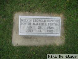 Melvin Leopold Dippold