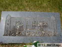 Joe L Hayes