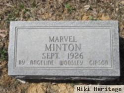 Marvel Minton