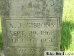 Andrew Jackson Gibbons