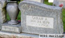 Sarah Ann Mcmanus White