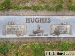 Agnes P Hughes