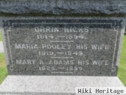 Mary Hicks