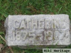 Catherine T. Driscoll