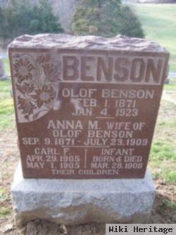 Anna M. Benson