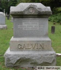 David Newton Calvin