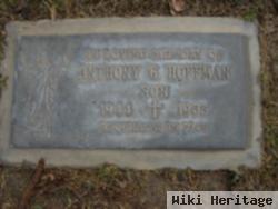 Anthony G Hoffman