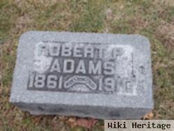 Robert P Adams