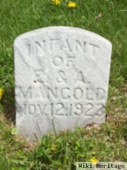 Infant Mangold