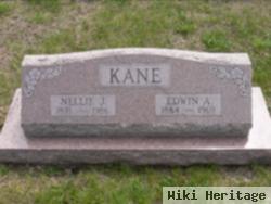 Nellie Jane Kingcade Kane