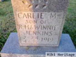 Carlie H. Jenkins